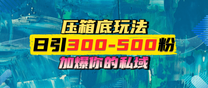 一天精准引流500+！加爆私域，实时变现，轻松日入1000+！_3YZ资源网